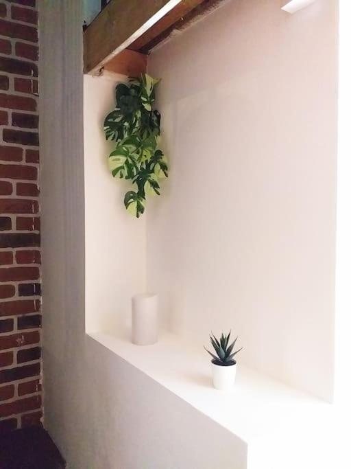 Le Paisible - Gare - Duplex - Garage Prive - Netflix Apartment เกรอน็อบล์ ภายนอก รูปภาพ