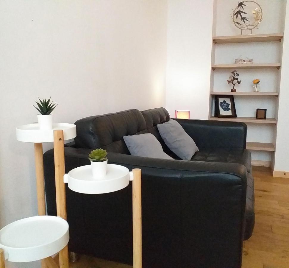 Le Paisible - Gare - Duplex - Garage Prive - Netflix Apartment เกรอน็อบล์ ภายนอก รูปภาพ
